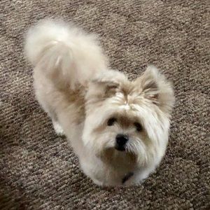 Meet your Posher, Sue